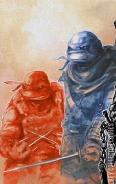 Variant Cover for Teenage Mutant Ninja Turtles: The Last Ronin #1