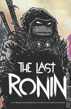 Variant Cover for Teenage Mutant Ninja Turtles: The Last Ronin #1