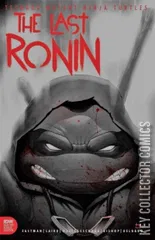 Variant Cover for Teenage Mutant Ninja Turtles: The Last Ronin #2