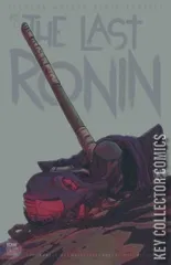Variant Cover for Teenage Mutant Ninja Turtles: The Last Ronin #3