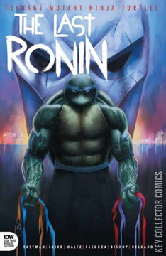 Variant Cover for Teenage Mutant Ninja Turtles: The Last Ronin #3
