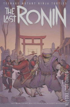 Variant Cover for Teenage Mutant Ninja Turtles: The Last Ronin #4