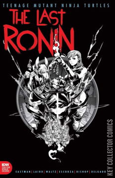 Variant Cover for Teenage Mutant Ninja Turtles: The Last Ronin #4