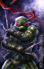 Cover for Teenage Mutant Ninja Turtles: The Last Ronin #4