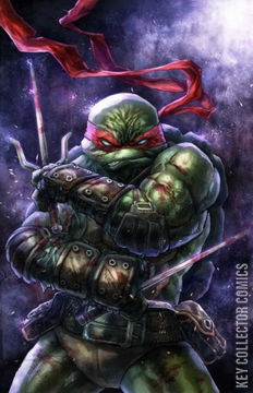 Variant Cover for Teenage Mutant Ninja Turtles: The Last Ronin #4