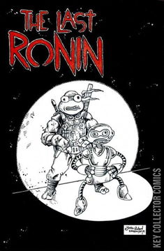 Variant Cover for Teenage Mutant Ninja Turtles: The Last Ronin #4