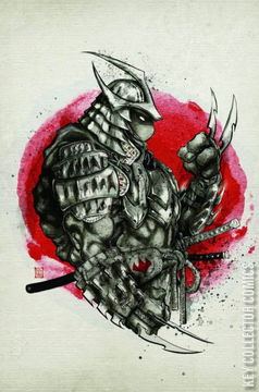 Variant Cover for Teenage Mutant Ninja Turtles: The Last Ronin #5