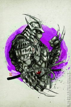 Variant Cover for Teenage Mutant Ninja Turtles: The Last Ronin #5