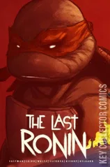 Variant Cover for Teenage Mutant Ninja Turtles: The Last Ronin #5