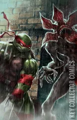 Variant Cover for Teenage Mutant Ninja Turtles / Stranger Things #1
