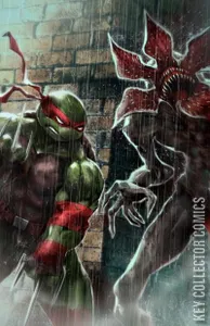 Teenage Mutant Ninja Turtles / Stranger Things #1