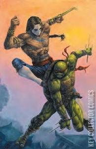 Teenage Mutant Ninja Turtles vs. Street Fighter #1