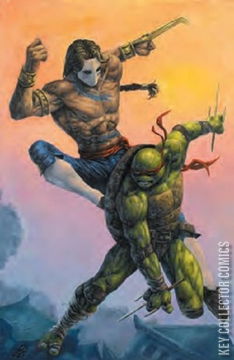 Variant Cover for Teenage Mutant Ninja Turtles vs. Street Fighter #1