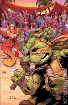 Variant Cover for Teenage Mutant Ninja Turtles vs. Street Fighter #1