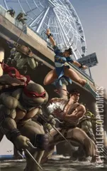 Variant Cover for Teenage Mutant Ninja Turtles vs. Street Fighter #1