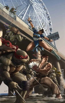 Variant Cover for Teenage Mutant Ninja Turtles vs. Street Fighter #1