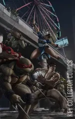 Variant Cover for Teenage Mutant Ninja Turtles vs. Street Fighter #1