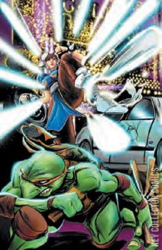 Variant Cover for Teenage Mutant Ninja Turtles vs. Street Fighter #1