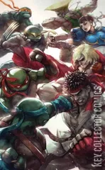 Variant Cover for Teenage Mutant Ninja Turtles vs. Street Fighter #1