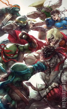 Variant Cover for Teenage Mutant Ninja Turtles vs. Street Fighter #1