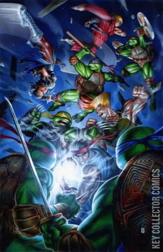 Variant Cover for Teenage Mutant Ninja Turtles vs. Street Fighter #1