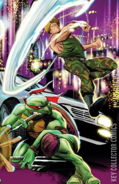 Variant Cover for Teenage Mutant Ninja Turtles vs. Street Fighter #2