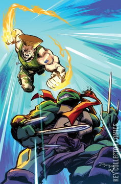 Variant Cover for Teenage Mutant Ninja Turtles vs. Street Fighter #3