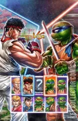 Variant Cover for Teenage Mutant Ninja Turtles vs. Street Fighter #4