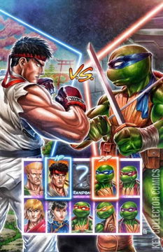 Variant Cover for Teenage Mutant Ninja Turtles vs. Street Fighter #4
