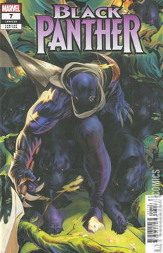 Variant Cover for Black Panther #7