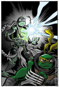 Variant Cover for Teenage Mutant Ninja Turtles #148
