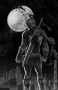 Variant Cover for Mighty Morphin Power Rangers: The Return #1