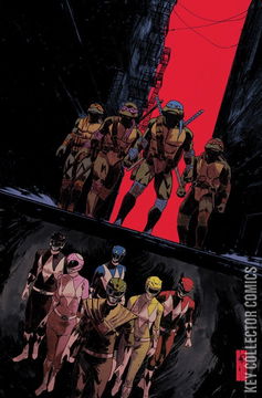 Variant Cover for Mighty Morphin Power Rangers / Teenage Mutant Ninja Turtles Black & White Edition #1