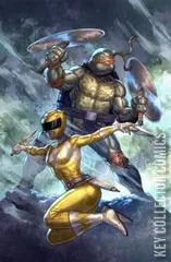 Variant Cover for Mighty Morphin Power Rangers / Teenage Mutant Ninja Turtles #1