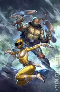 Mighty Morphin Power Rangers / Teenage Mutant Ninja Turtles #1