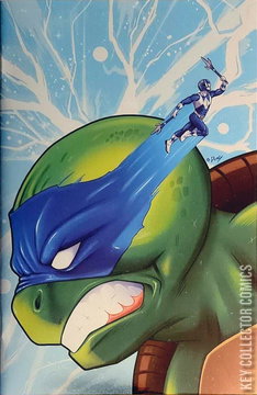 Variant Cover for Mighty Morphin Power Rangers / Teenage Mutant Ninja Turtles #1