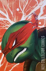 Variant Cover for Mighty Morphin Power Rangers / Teenage Mutant Ninja Turtles #2