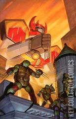 Cover for Mighty Morphin Power Rangers / Teenage Mutant Ninja Turtles #4