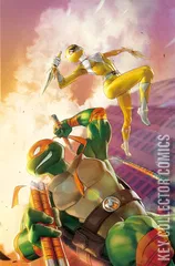 Variant Cover for Mighty Morphin Power Rangers / Teenage Mutant Ninja Turtles #5