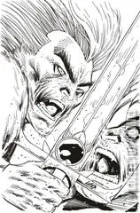 Variant Cover for Thundercats #2