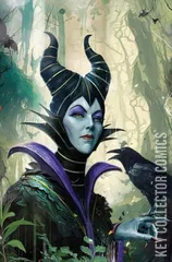 Variant Cover for Disney Villains: Maleficent #1