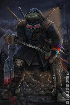 Teenage Mutant Ninja Turtles: The Last Ronin – The Lost Years