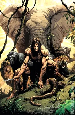 Lord of the Jungle