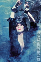 Variant Cover for Elvira In Horrorland #5