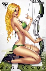 Cover for Grimm Fairy Tales Presents: Robyn Hood #9