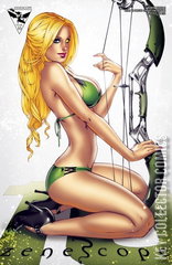 Variant Cover for Grimm Fairy Tales Presents: Robyn Hood #9