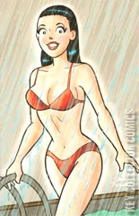 Variant Cover for Betty and Veronica: Friends Forever Beach Party