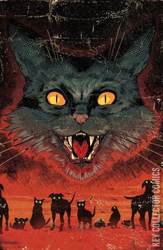 Variant Cover for Chilling Adventures of Salem #1