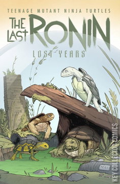 Variant Cover for Teenage Mutant Ninja Turtles: The Last Ronin – The Lost Years #5