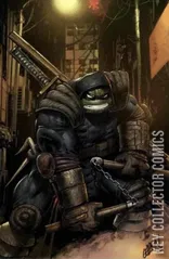 Variant Cover for Teenage Mutant Ninja Turtles: The Last Ronin – The Lost Years #5